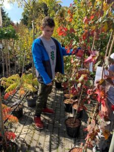 Zdjęcie - Ogród Kapas