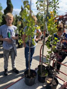 Zdjęcie - Ogród Kapas