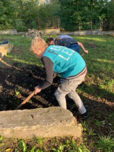 Zdjęcie - Ogród Kapas