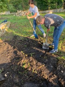 Zdjęcie - Ogród Kapas